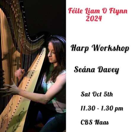 Féile Liam O’Flynn HARP Workshop